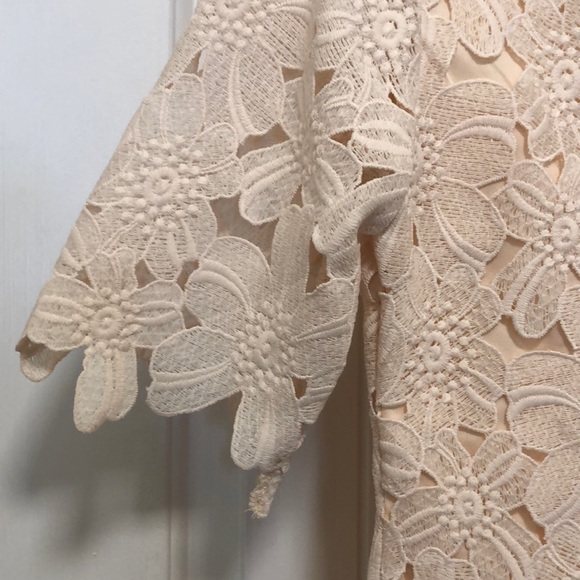 Forever 21 - Blush Lace Dress - Picture 7 of 13